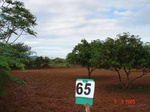 6323065a-rainfed-highly-fragmented-agriculture-with-intermix-of-scrubland-and-wasteland.jpg