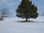 2017-02-21_14-48-33_Feb17-013-VT.jpg