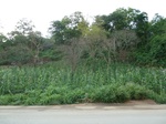 18325P1000161.JPG