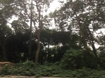 2017-09-10_07-07-00_42B06448-C168-408E-BCE8-E703129D6CD6.jpg