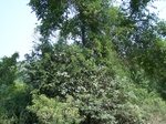 1790327042008(37).JPG