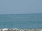 13992IMG_4307.JPG