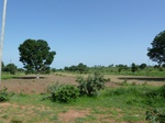 19443P1010290.JPG