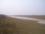 4626RIMG0058-2.JPG