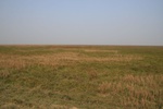 4507IMG_8600.jpg