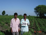 70950209a-rainfed-agriculture-cotton-dominant-soyabean.jpg