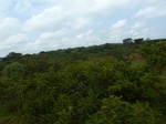 19729P1010578.JPG