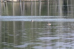 396IMG_3505.JPG