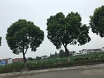 2017-09-10_08-38-17_2479F0BD-C274-4D6B-942E-28B50DF67B87.jpg