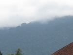 16206IMG_4969.JPG