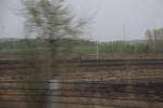2017-05-12_17-07-57_2017-05-04 22.57.00.jpg