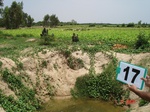 6142017d-irrigated-supplemental(groundwater-open-wells)-tobacco-vegetables-orchards.jpg