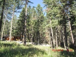2012-09-15_23-07-45_NM-OT-35-4.jpg