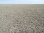 39168BOIS20110913N.JPG