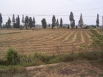 3282R0017316.JPG