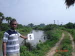 6009005c-irrigated-canal-Nagarjunsagar-rice-dominant.jpg