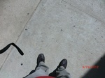 2012-10-02_19-50-14_CIMG0059.JPG