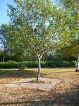 2012-09-10_08-18-41_WI-RS-1-3.JPG