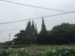 2017-09-10_20-46-01_00864BE8-EB36-4DBF-B83C-D10D72E43BA3.jpg