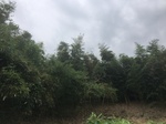 2017-09-10_06-57-52_21ABD317-043D-42B2-99B5-86928B90D640.jpg