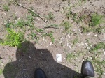 2017-07-05_14-08-17_0702171227b_HDR.jpg