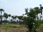 17409100_2095.JPG