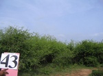 1049643-scrubland-b.gif