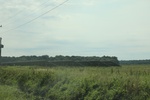 2022-06-11_15-55-56_98FECD5D-8C29-4C8C-8533-86B5588E645A.jpeg
