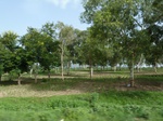 18870P1000712.JPG