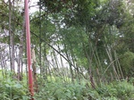 5546100_0929.JPG