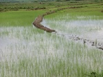 2012-09-07_10-01-31_CIMG6613.JPG