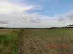 2012-09-26_20-49-55_CIMG1049.JPG