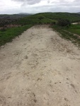 2017-02-19_16-48-47_9B92D078-B480-4F4D-8B55-3D5C6E7295D2.jpg