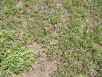 2017-05-29_11-53-45_DSC01299.JPG