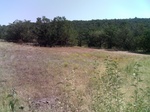2012-09-02_18-09-54_PICT0010.JPG
