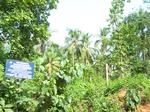 546511052008(34).JPG