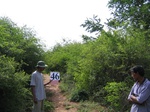 831046-scrubland-3m-b.jpg