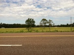 2012-09-21_18-20-32_Antioch Road-7.JPG