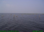 1488R0015193_tag.jpg