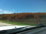 2012-09-09_15-54-32_IMG_1075.JPG