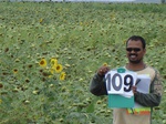 60520109c-rainfed-agriculture-sunflower.jpg