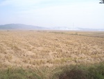 4622RIMG0054.JPG