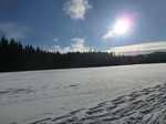 40420CIMG0315.JPG