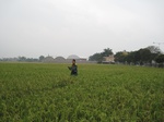 13435IMG_3815.JPG