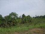 3732RIMG0035.JPG
