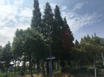 2017-09-12_13-48-50_7BBB0514-0022-46F7-B4CD-743A2030009A.jpg