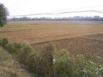3170R0017204.JPG