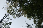 2020-10-01_19-16-35_2020-10-1-19-12-25.jpg