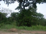 3748RIMG0052.JPG
