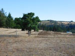 2020-05-28_13-19-19_2019-09-04_Erratic_RockN.JPG